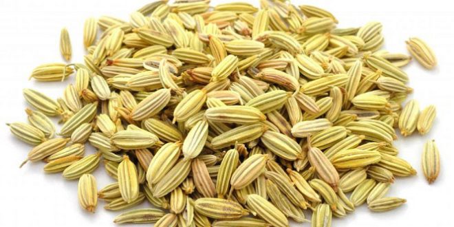 رازیانه