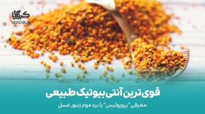 قوی ترین آنتی بیوتیک طبیعی جهان