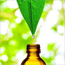 عصاره های گیاهی و کاربردهایشان