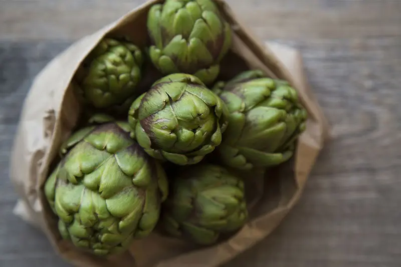 چرا کبد چرب می‌شود؟