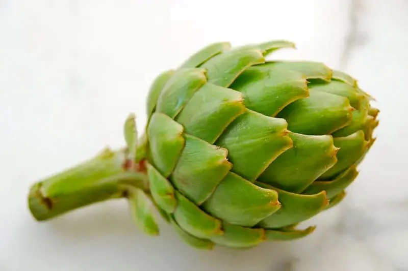 5.کمک به بازسازی سلول‌های آسیب‌دیده