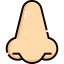 nose